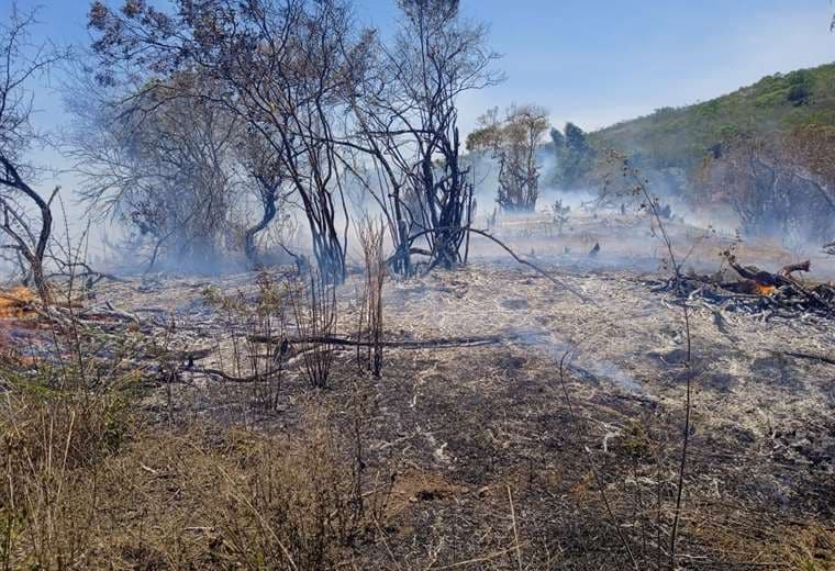 Capturan a dos personas en Vallegrande cuando iniciaban un incendio forestal